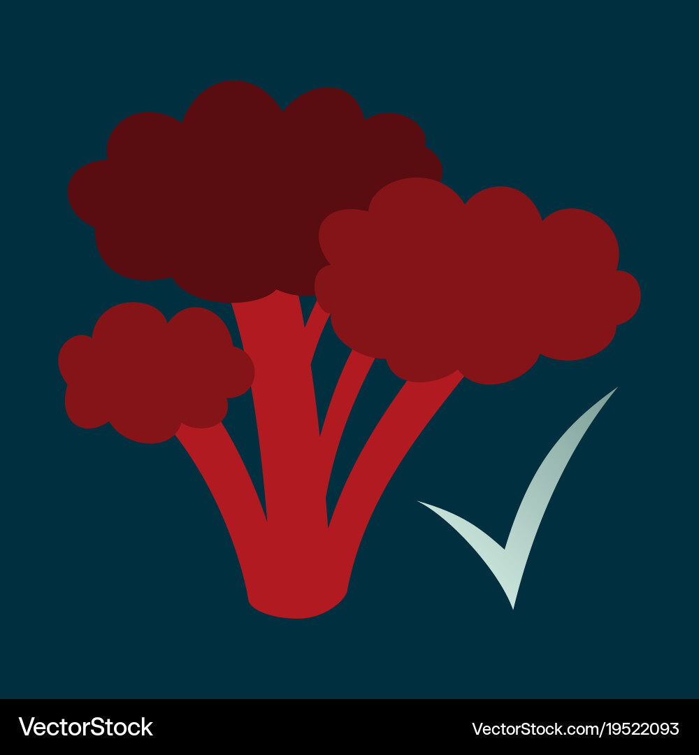 Broccoli flat isolated on background fresh Vector Image