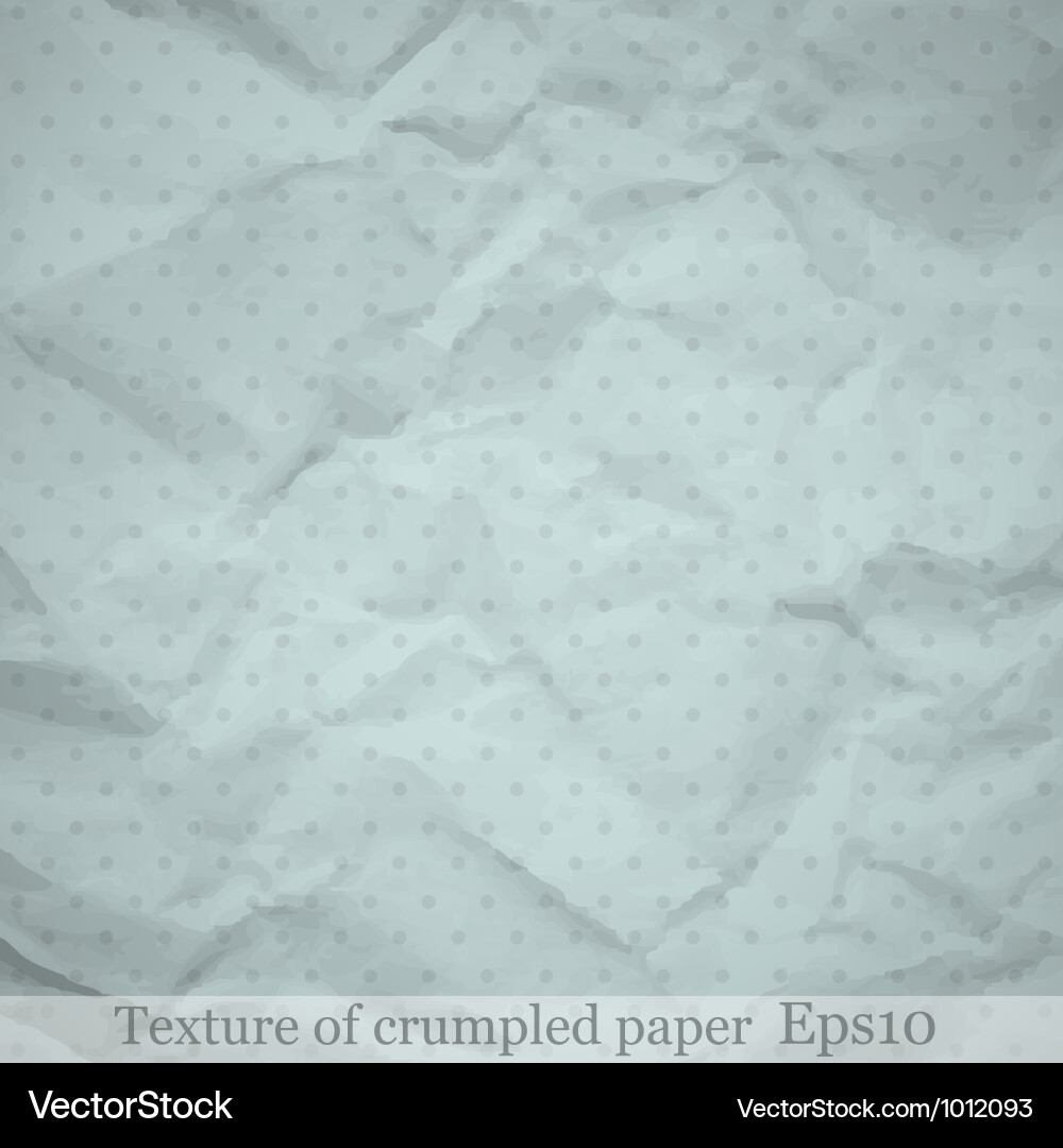 Paper texture Vector Image