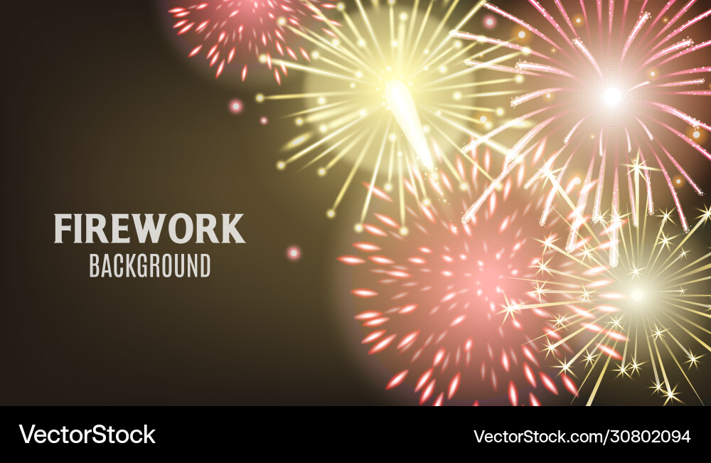 Dark firework background with realistic red Vector Image