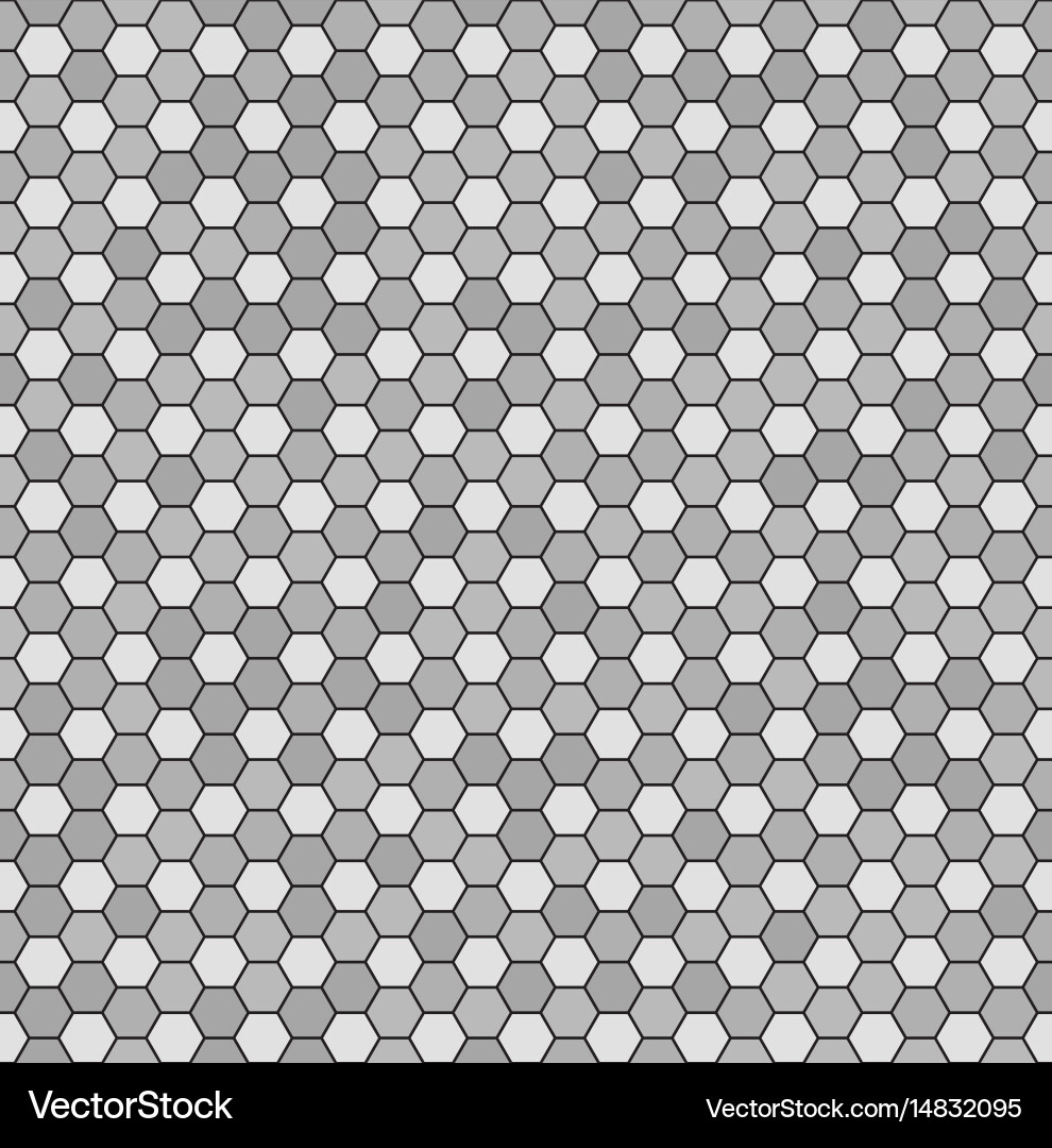 Gray Hexagon Pattern vector image