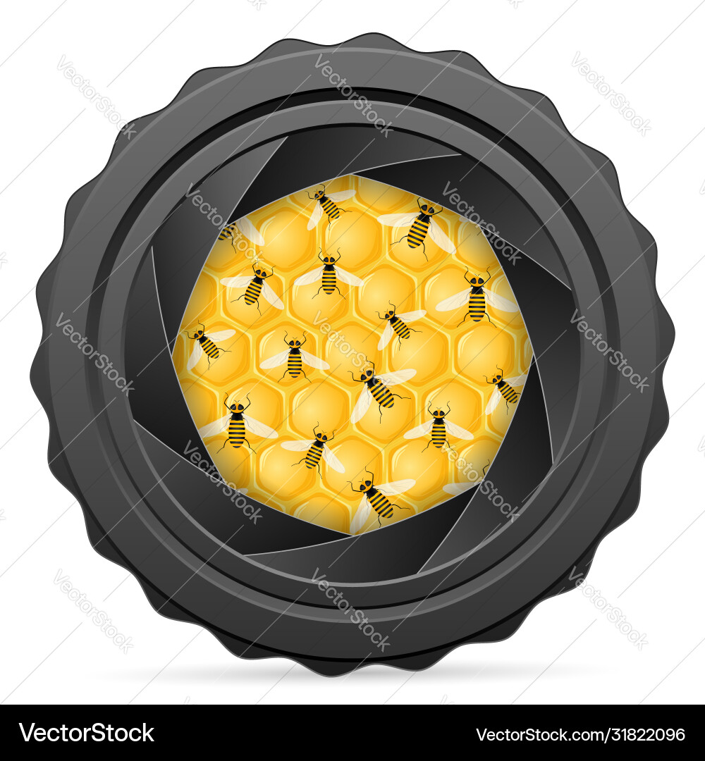 Camera shutter with bees and honeycomb Vector Image
