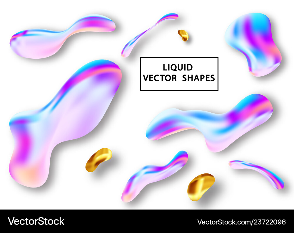 Fluid shape layout isolated template set colorful vector image