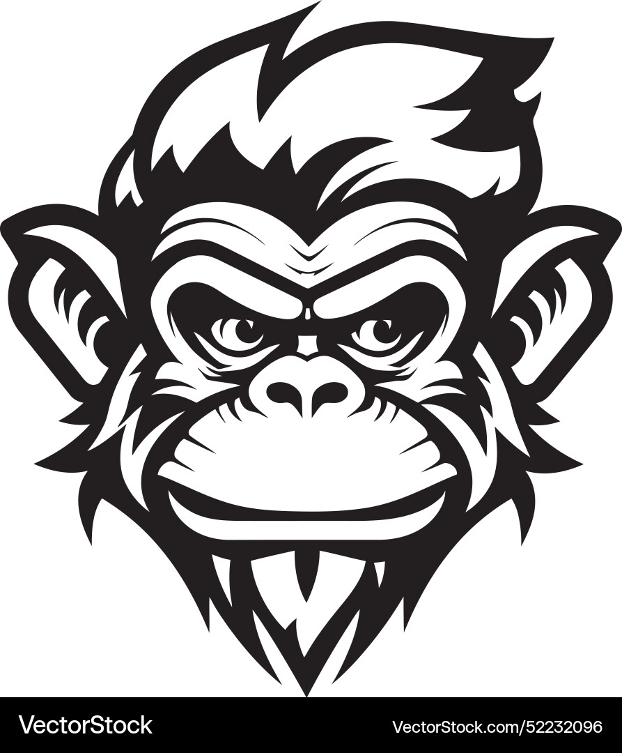 Monkey business a guide to exploring Monkey business a guide to exploring Vector Image