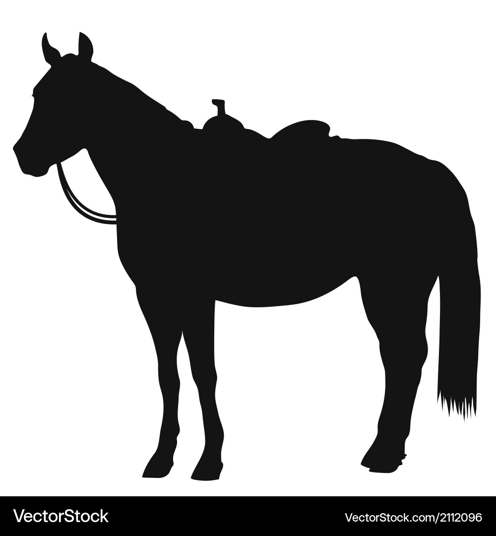 Western Horse Silhouette Vector Image