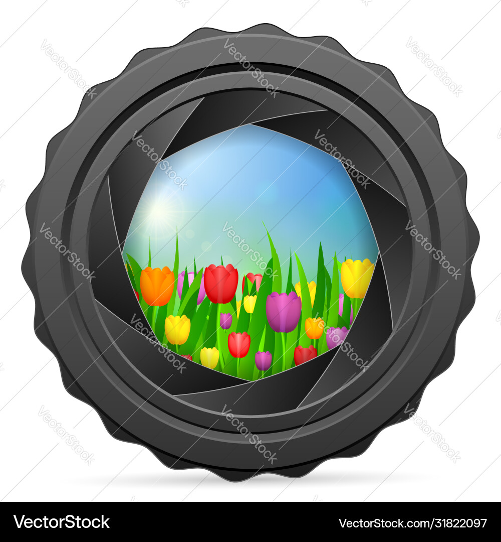 Camera shutter with tulips Vector Image