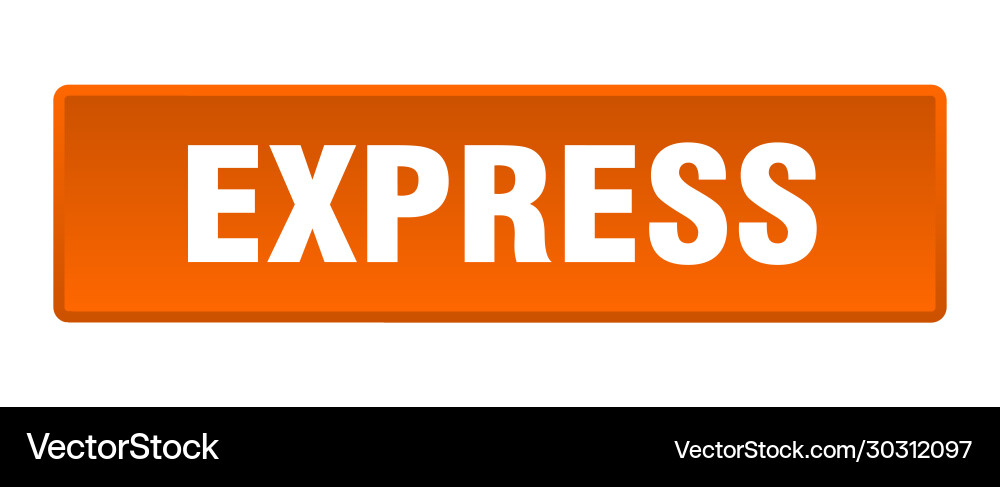 Express button square orange push Vector Image