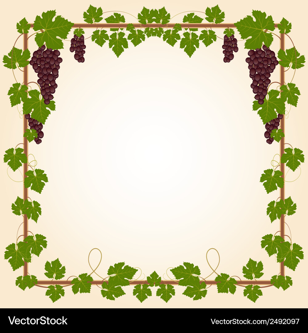 Grape square frame Vector Image