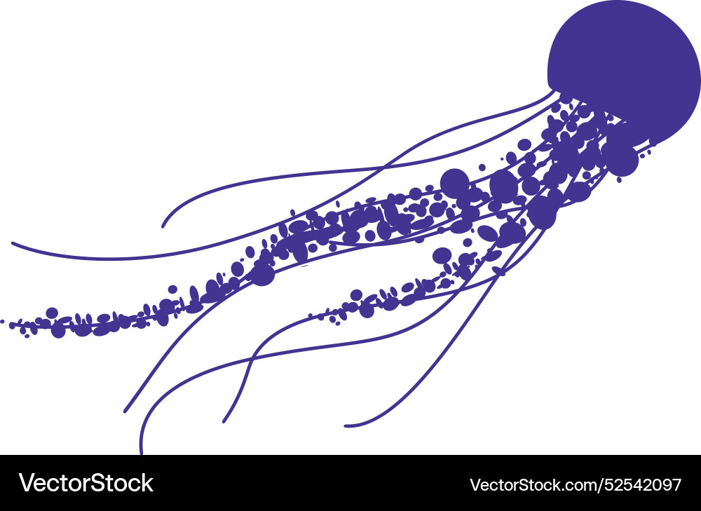 Jellyfish Royalty Free Vector Image - VectorStock