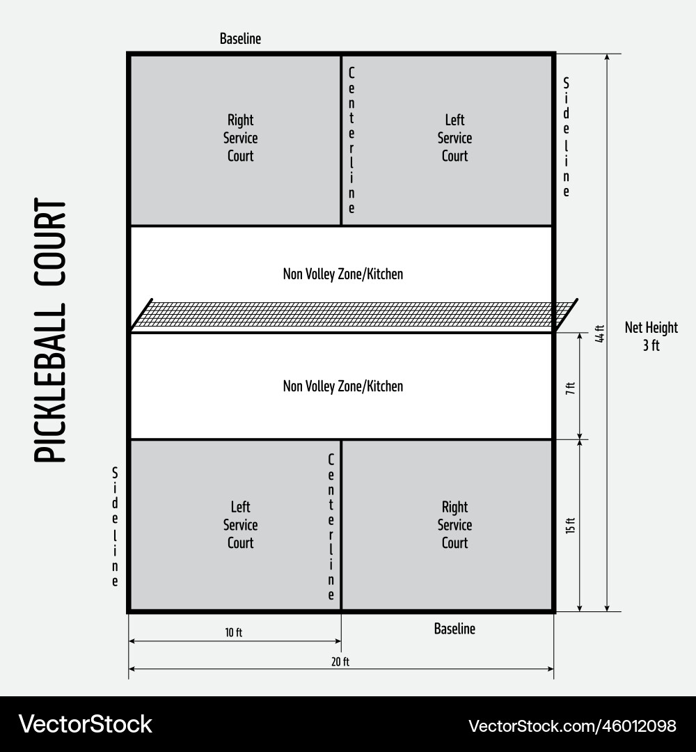 Pickleball court official dimensions Pickleball court official dimensions vector image