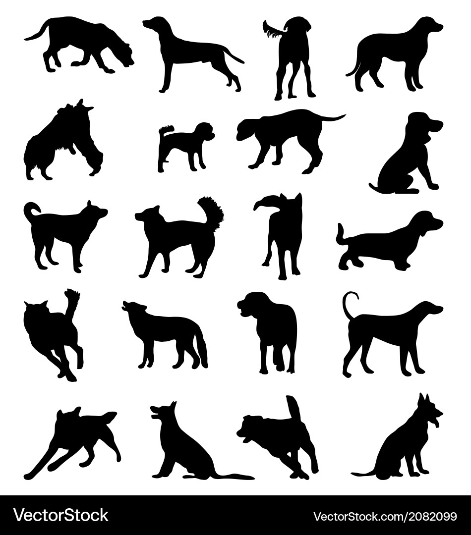 Dog Breed Silhouettes vector image