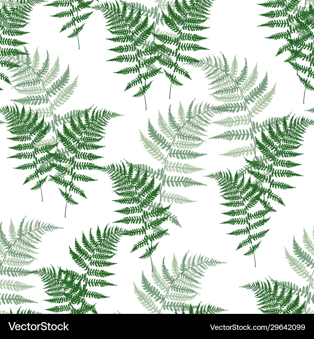 Fern Frond Botanical Pattern vector image
