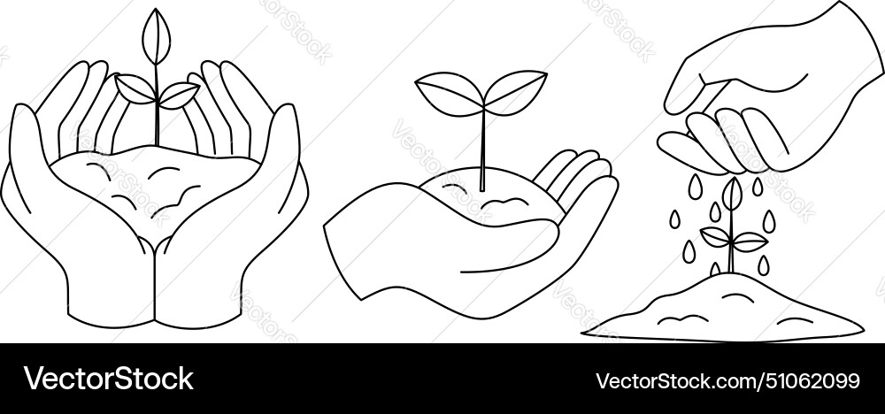 Set of icon hand holding plant and watering Set of icon hand holding plant and watering vector image