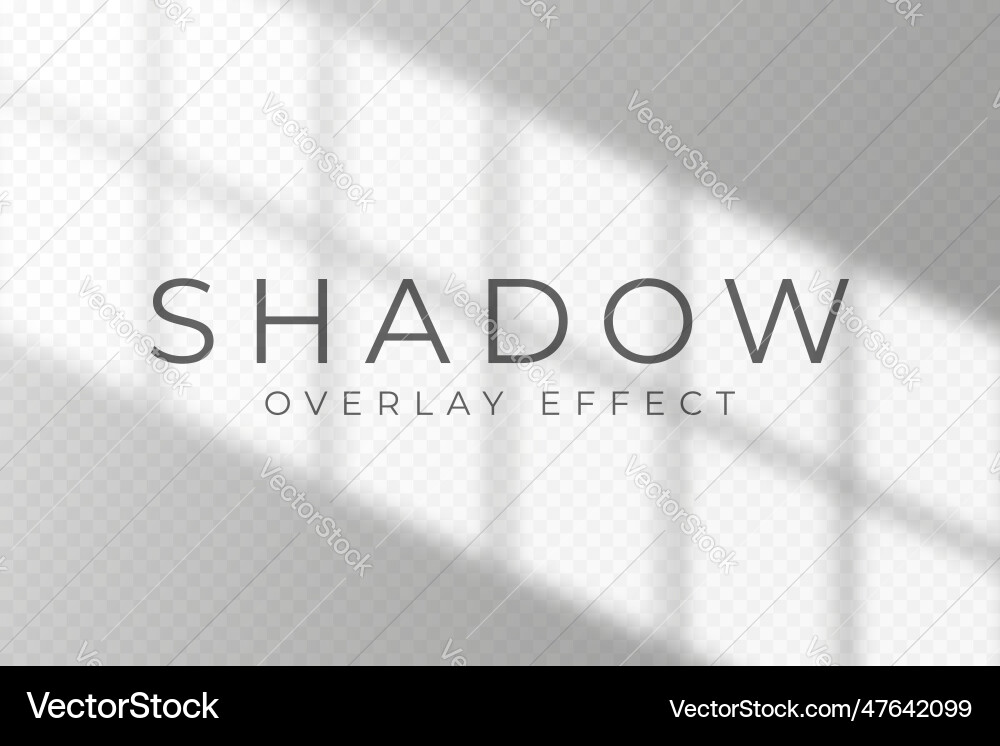 Shadow overlay effect transparent soft light vector image