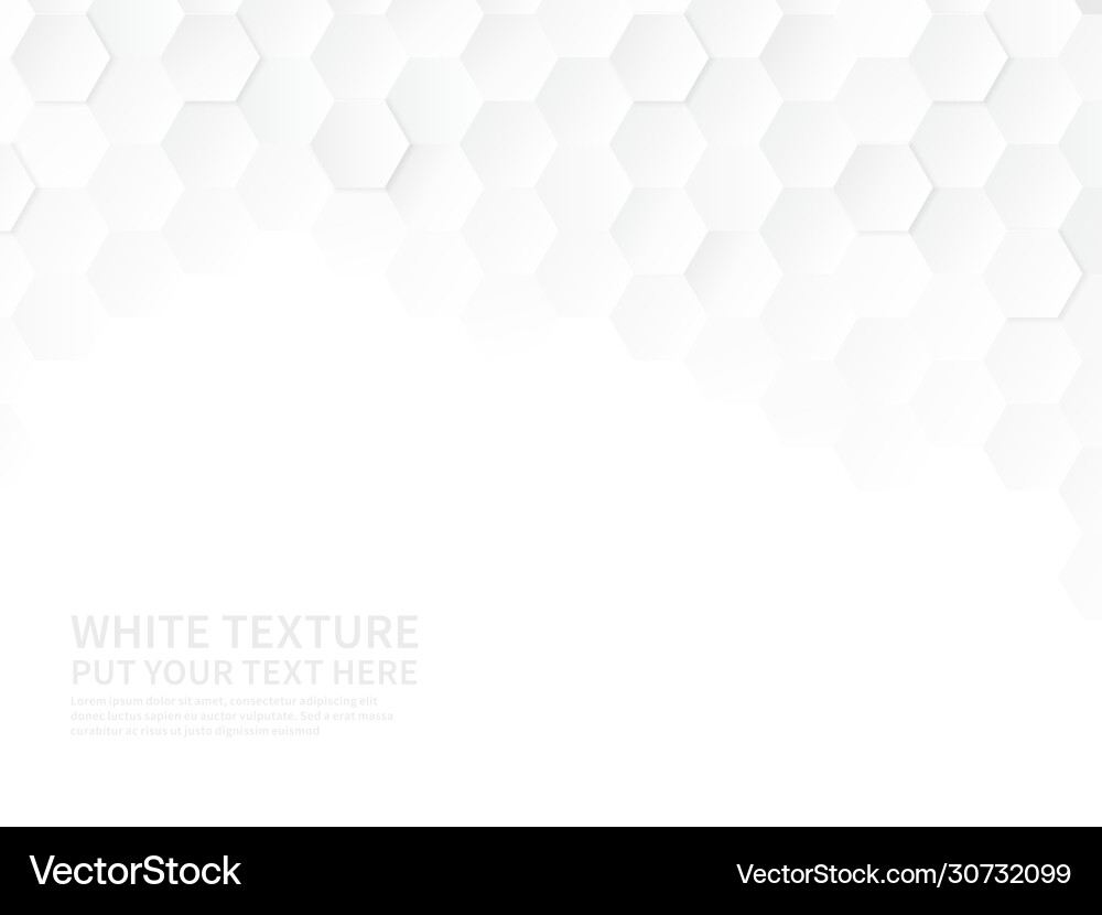 White Hexagonal Pattern vector image