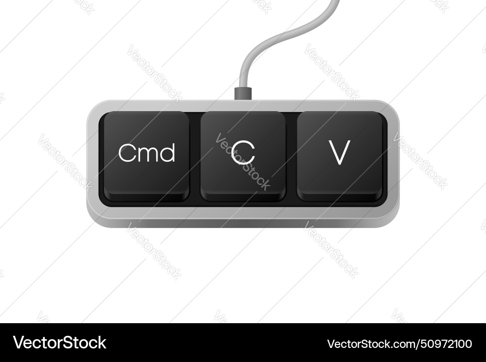 Copy paste button combination computer keyboard Vector Image