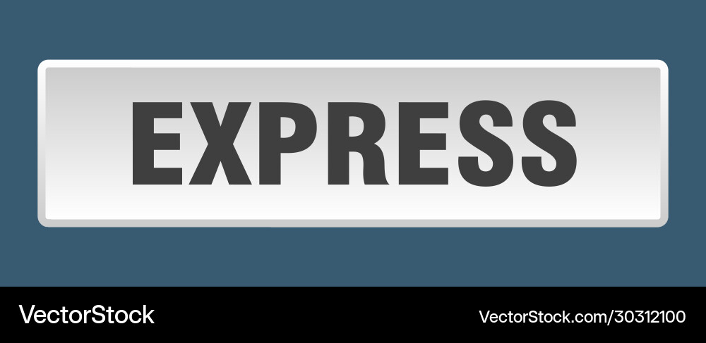 Express button square white push Vector Image
