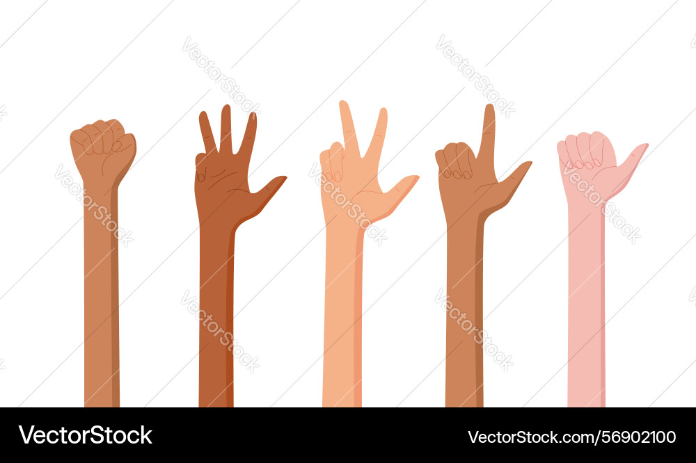 Flat hand count gesture number set Vector Image