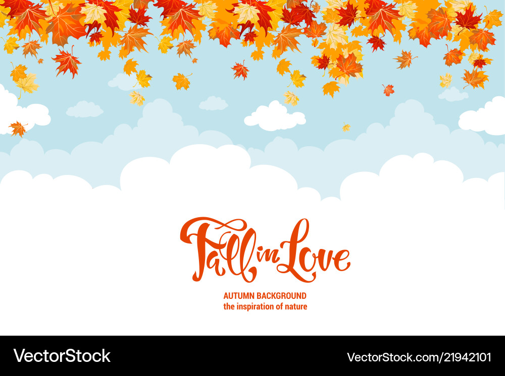 Maple leaves and sky Maple leaves and sky vector image