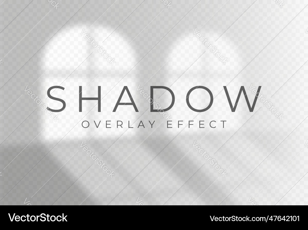 Shadow overlay effect transparent soft light vector image