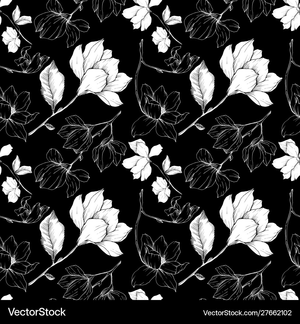 Magnolia floral botanical flowers black Magnolia floral botanical flowers black vector image