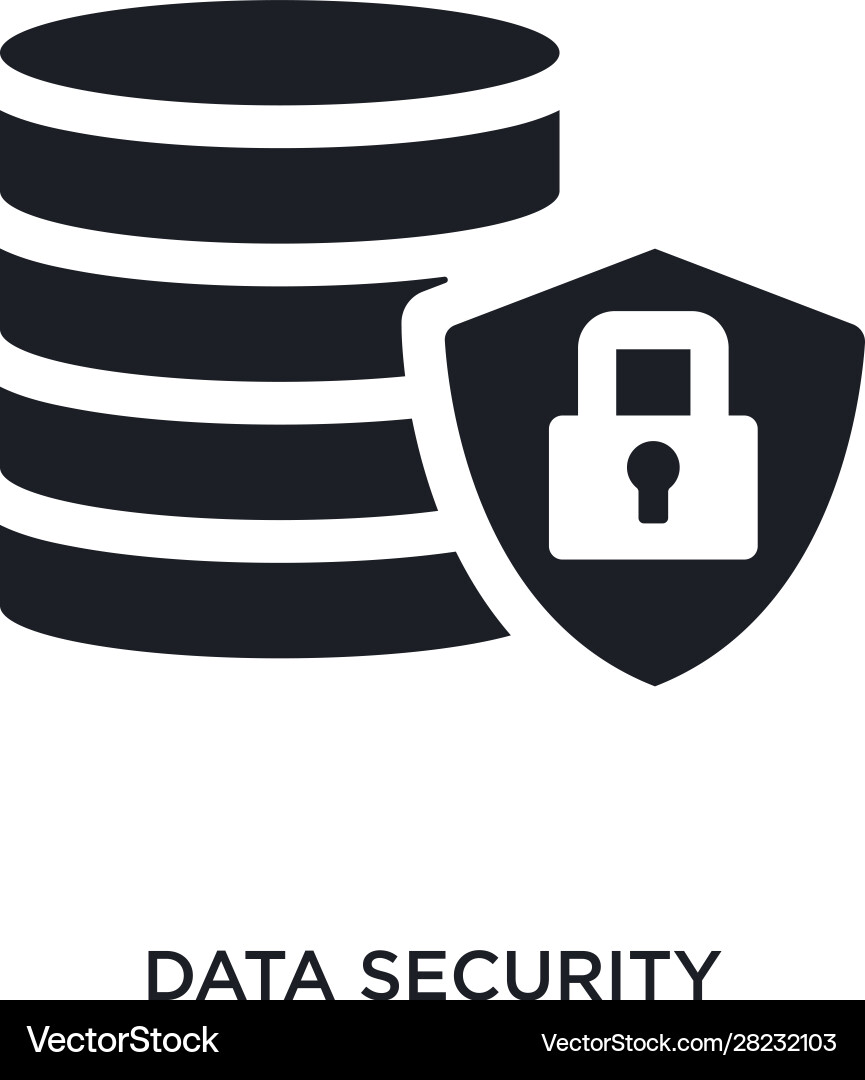 Black data security isolated icon simple element Black data security isolated icon simple element vector image