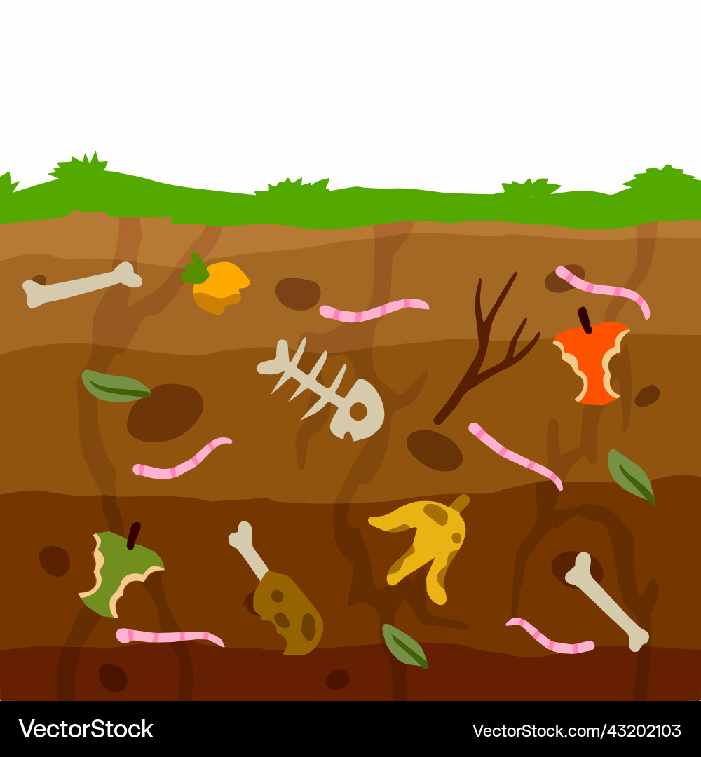 Compost soil layer of earth in section Compost soil layer of earth in section Vector Image