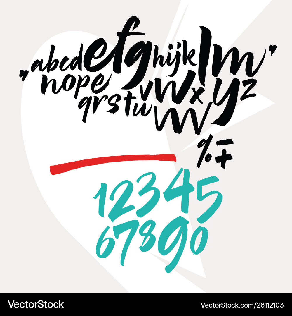 Handwritten font script latin calligraphic set vector image