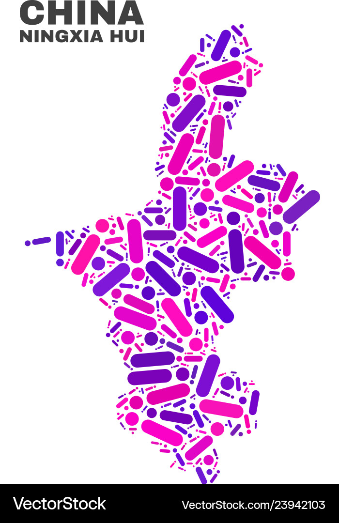 Mosaic ningxia hui region map of dots and lines Mosaic ningxia hui region map of dots and lines Vector Image