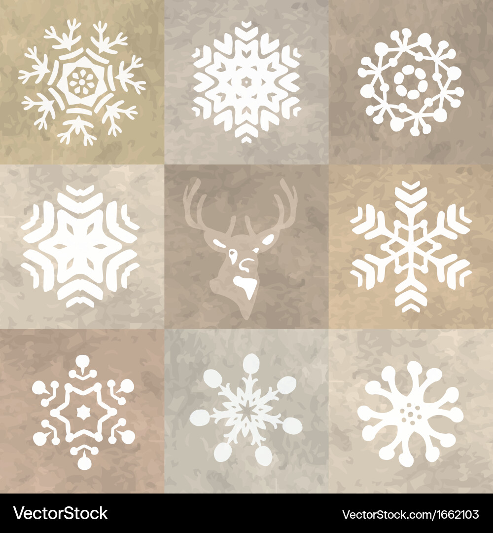 Snowflake Winter Pattern vector image