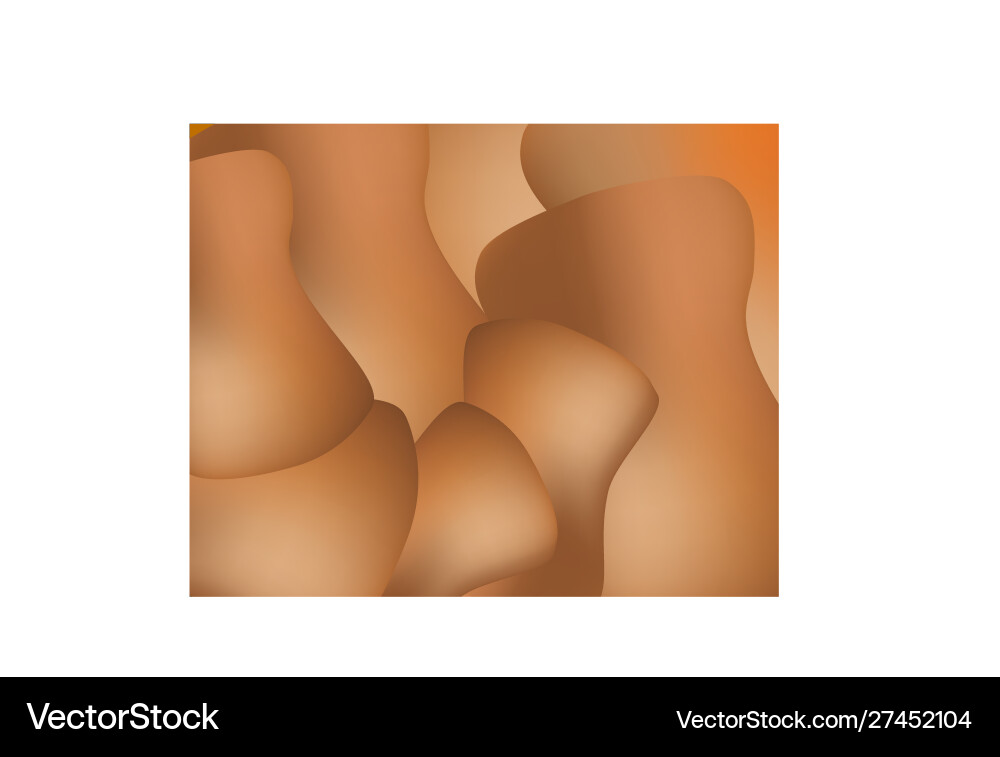 Fluid Curved Line Pattern vector image