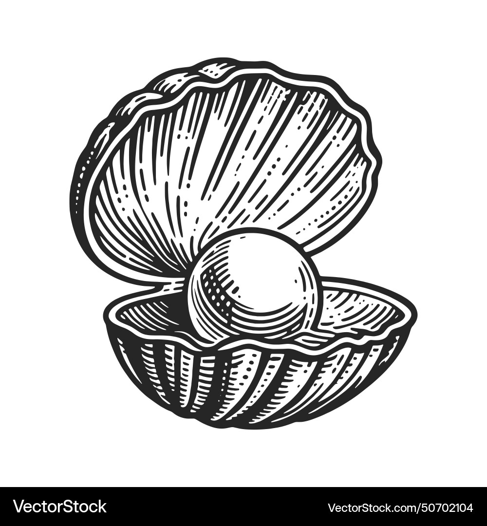 Pearl in open oyster shell engraving Royalty Free Vector
