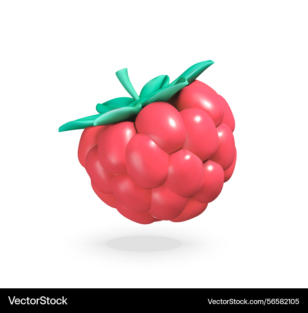 Raspberry with green leaves 3d icon Vector Image