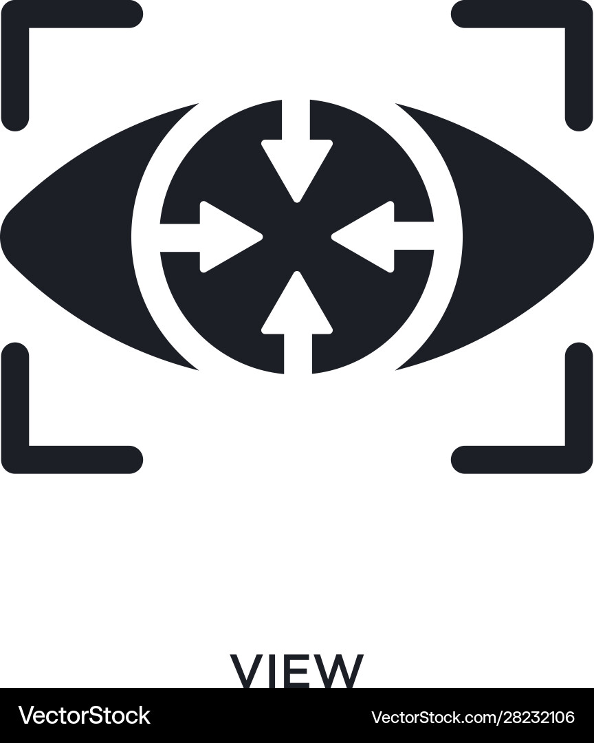 Black view isolated icon simple element from big Vector Image