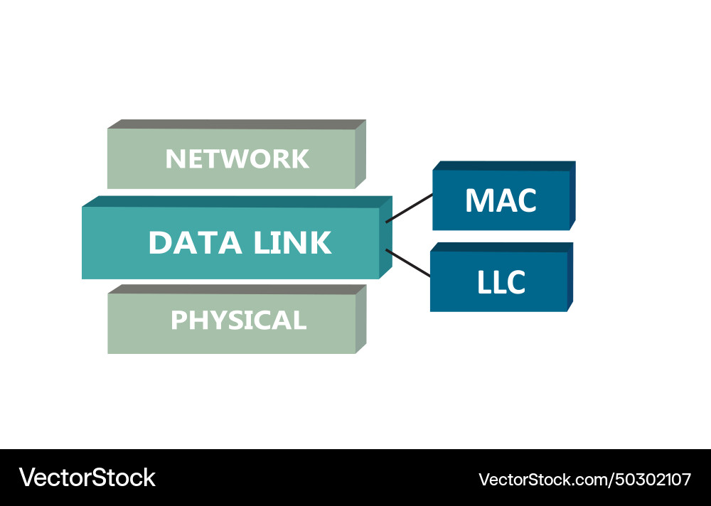 Data link sub layers osi model Data link sub layers osi model vector image