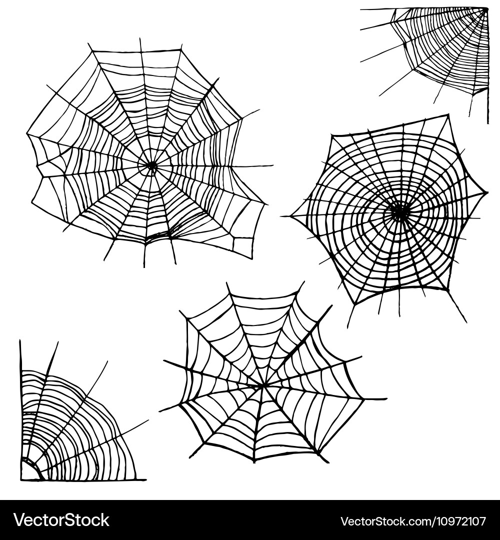 Different spider web set Vector Image