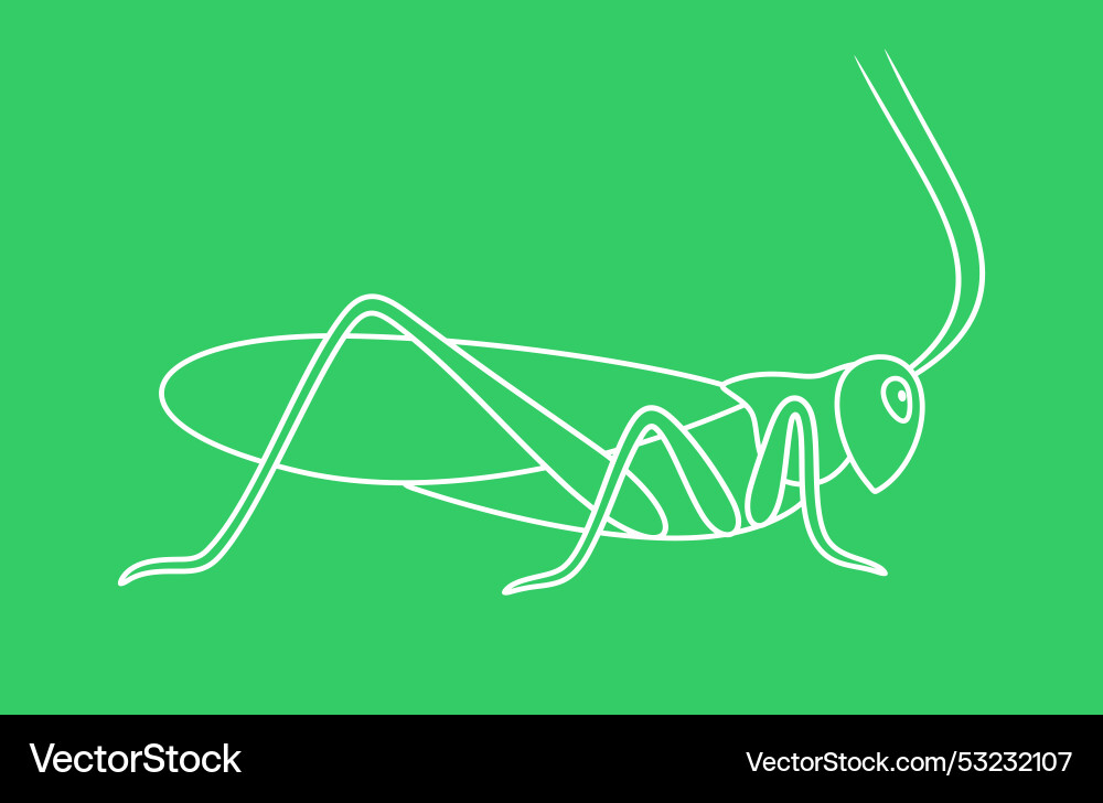 Grasshopper vector image