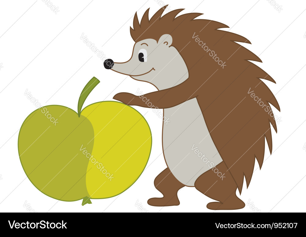 Hedgehog with apple Vector Image