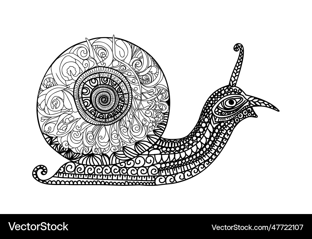 Mollusk snail in entangle stylesimple line Mollusk snail in entangle stylesimple line vector image