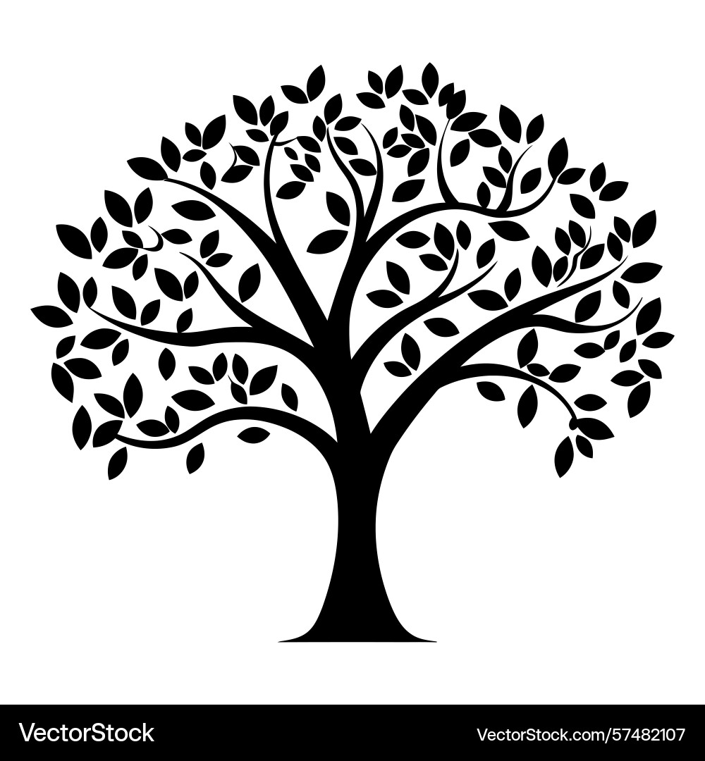 Silhouette of a tree with dense foliage and branch vector image