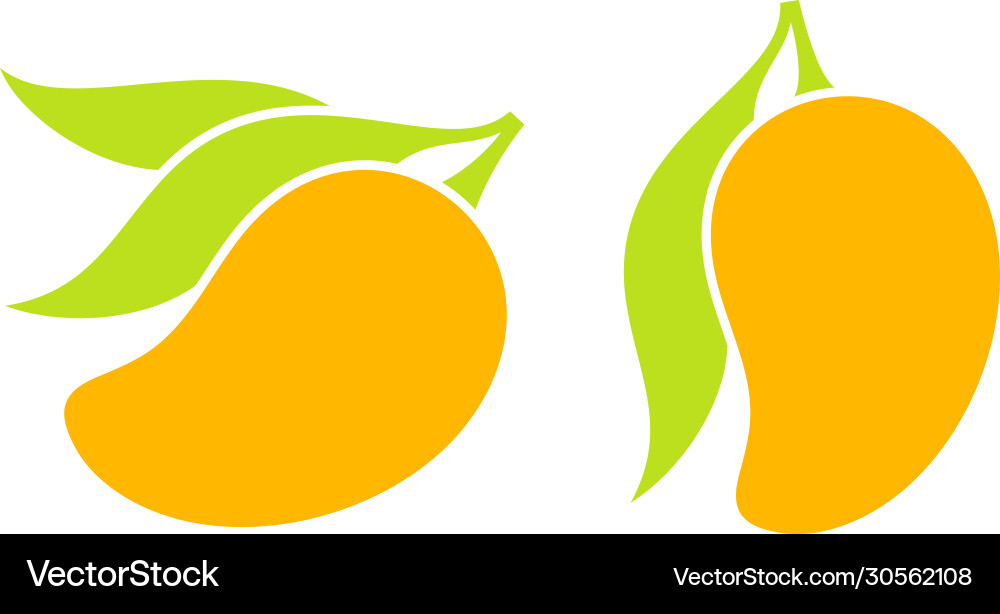 Mango with leaves Royalty Free Vector Image - VectorStock