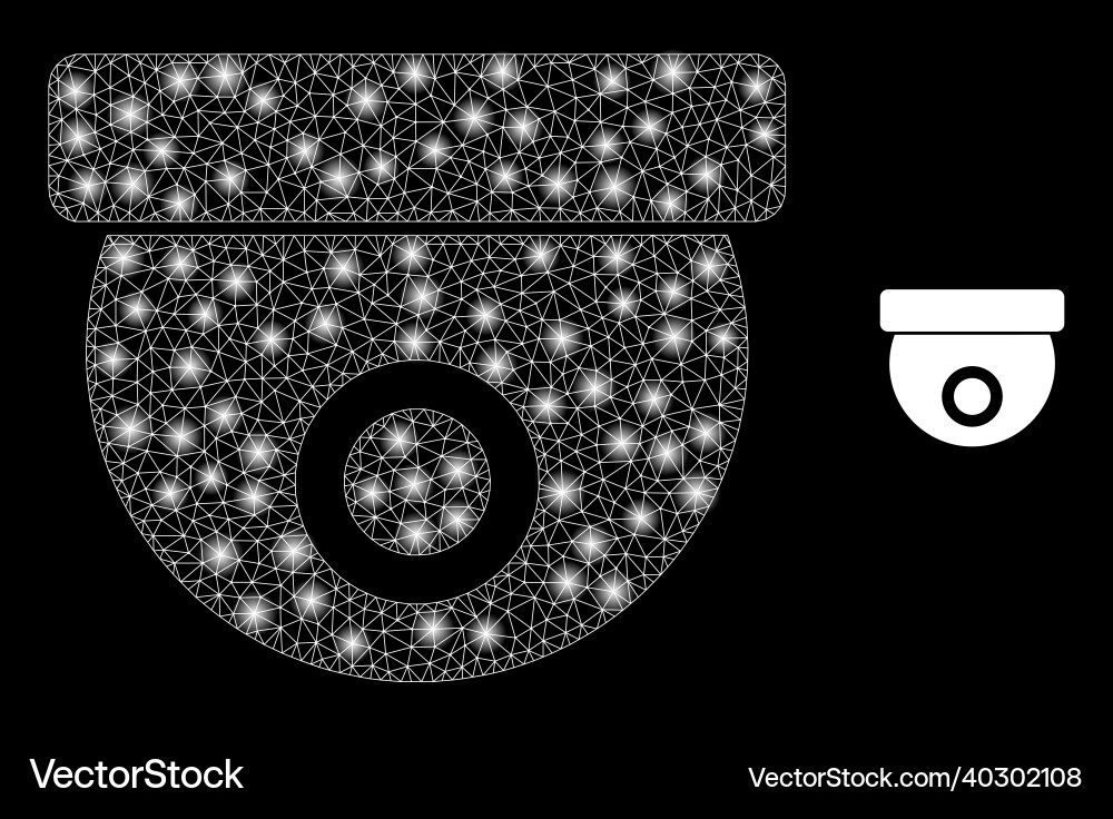 Mesh web cctv camera with light wire frame Mesh web cctv camera with light wire frame vector image