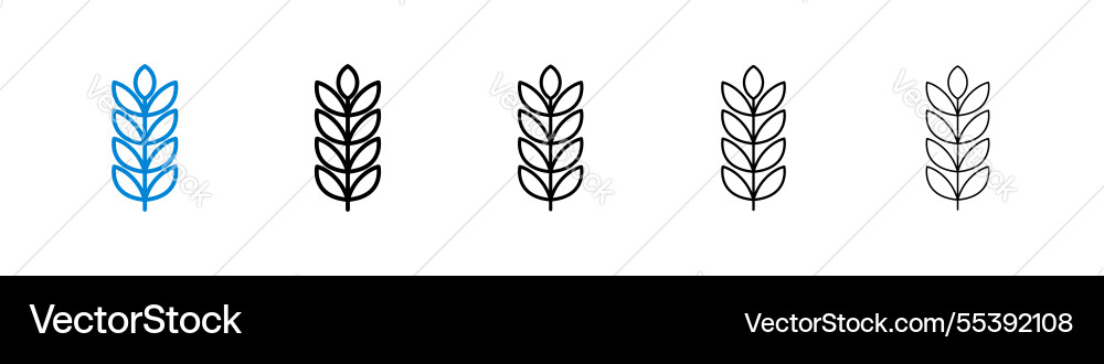 Wheat icons in five different stroke sizes Wheat icons in five different stroke sizes Vector Image