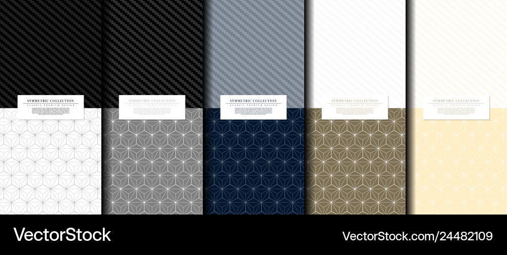 Symmetric Hexagonal Pattern vector image