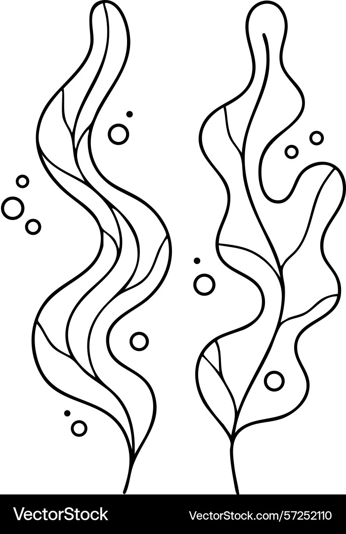 Abstract seaweed with flowing lines and bubbles vector image