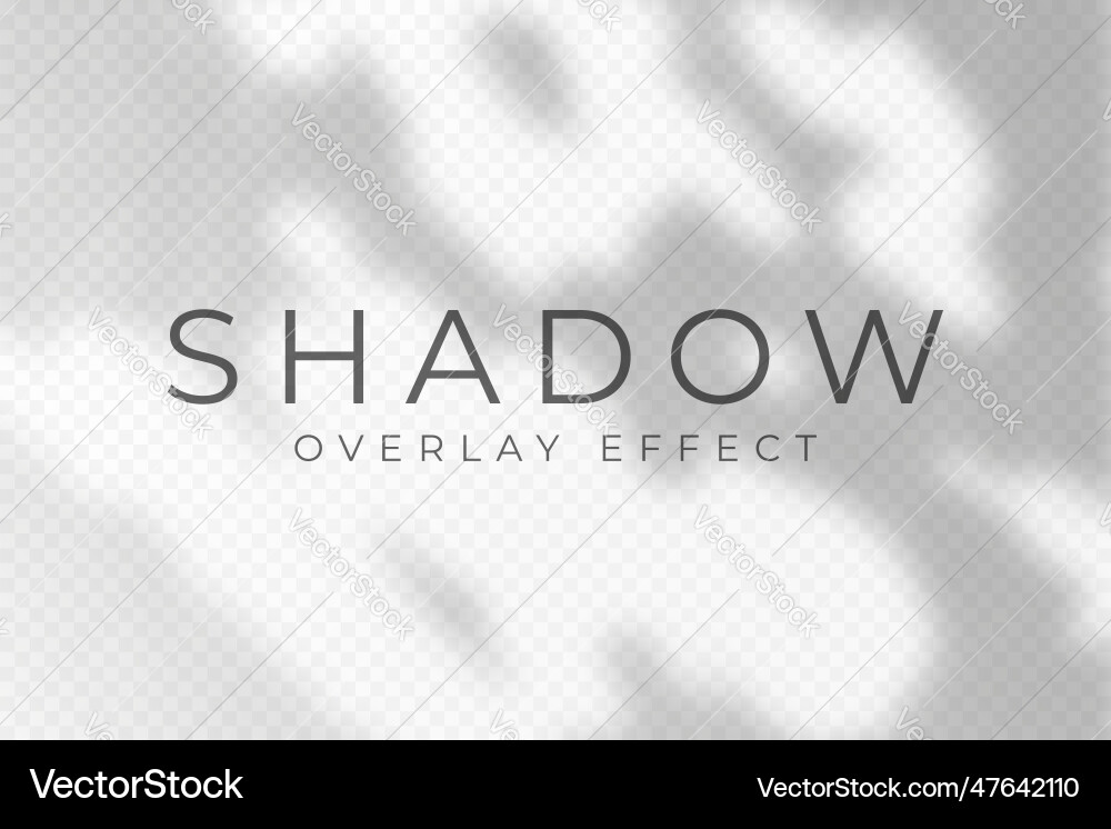 Shadow overlay effect transparent soft light vector image