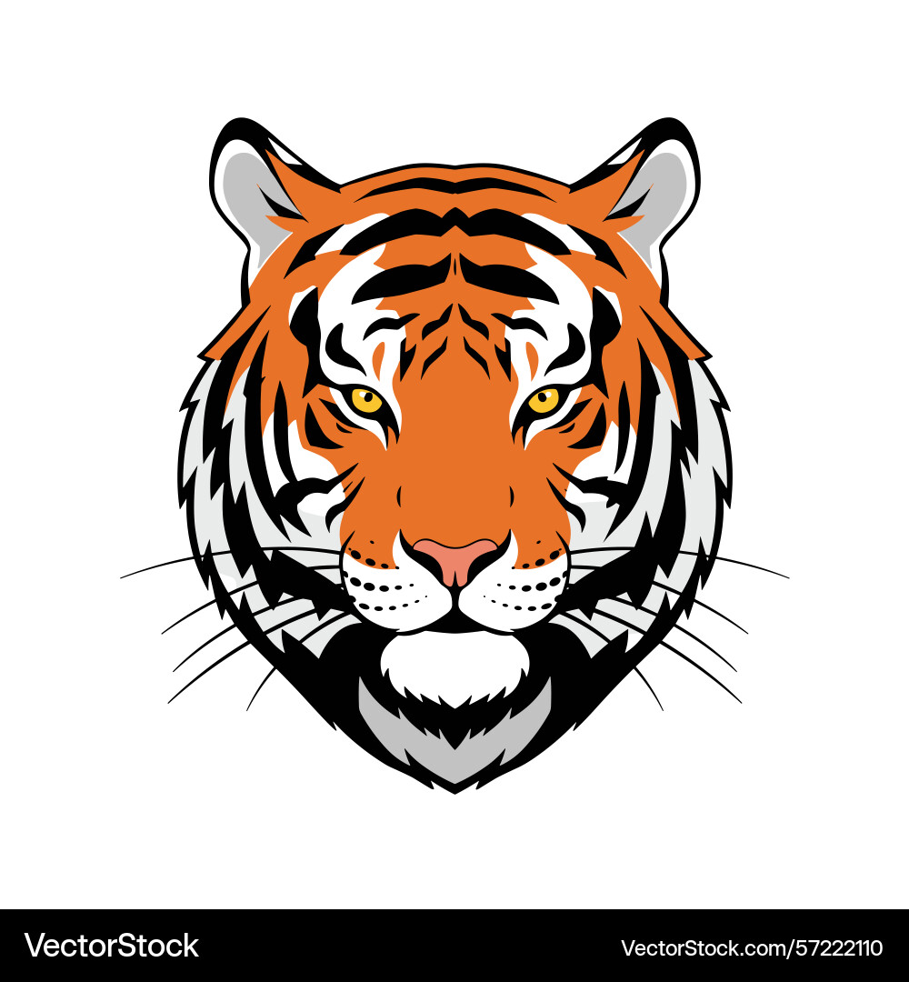 Tiger head mascot for logo design element – Royalty-Free Vector |  VectorStock