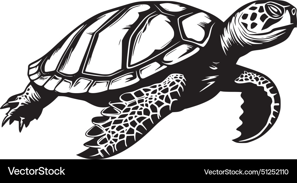 Turtle - black and white Royalty Free Vector Image