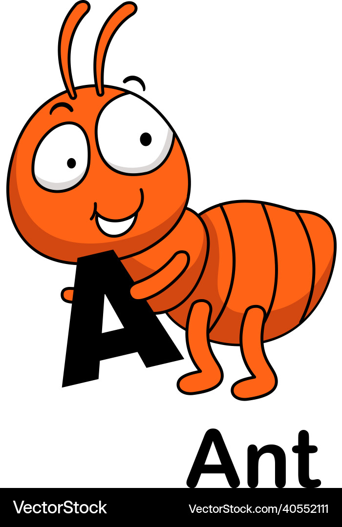 Alphabet letter a -ant vector image