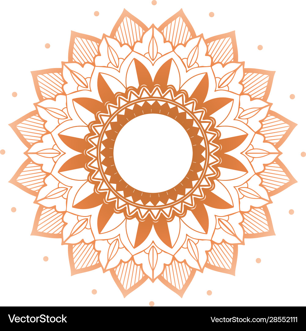 Mandala patterns on isolated background Vector Image