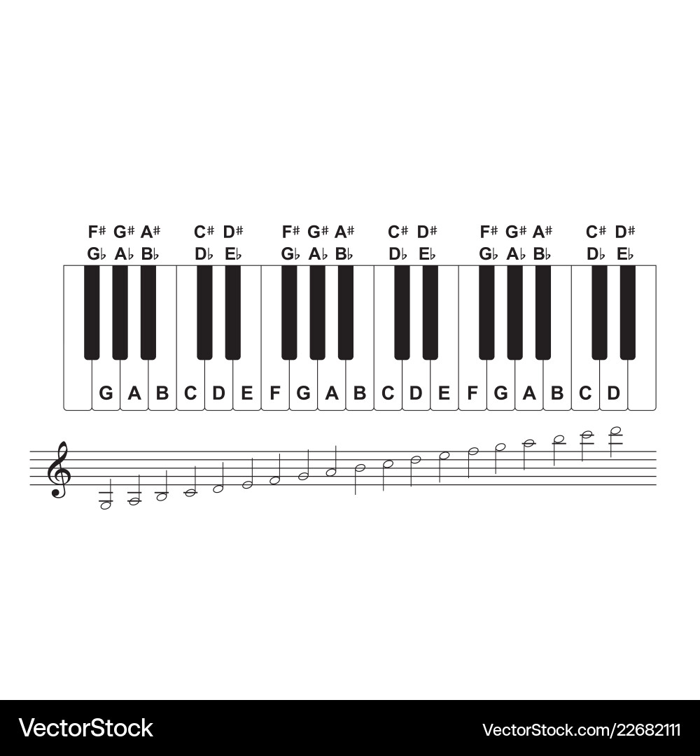 Piano Keyboard Layout Diagram Vector Image